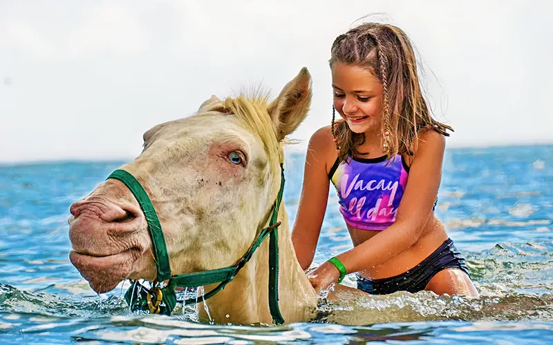 Swimming with Horses