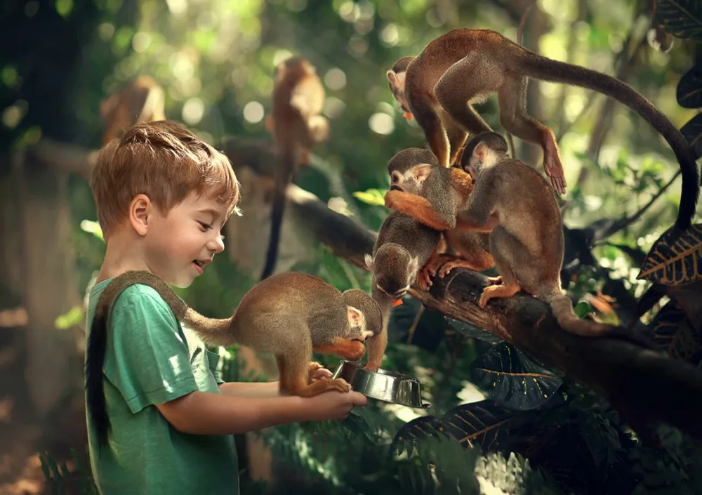 Комбо: зиплайн и Парк обезьян Monkey Land
